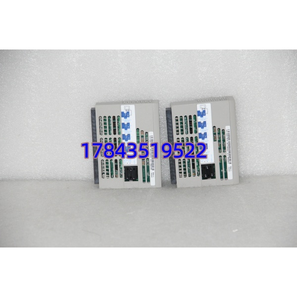 Emerson 1C31116G04 | 16点 干接点输出 带 LED 每通道 可热插拔 - 图片 3