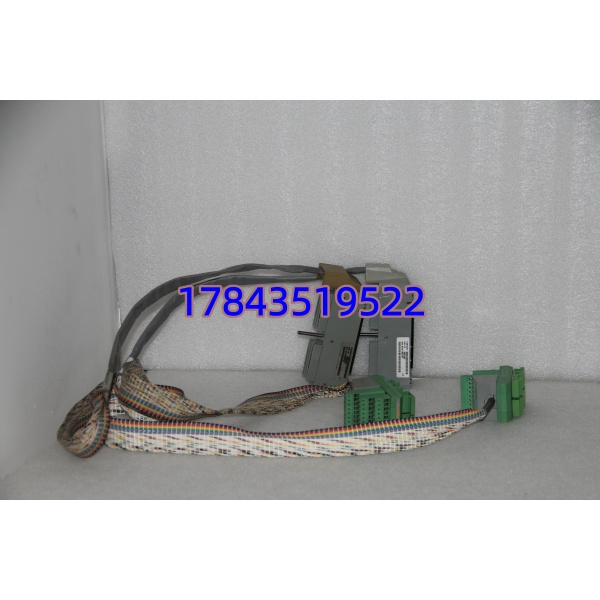 Foxboro P0500RY | I/A Series 控制处理器模块 - 图片 3