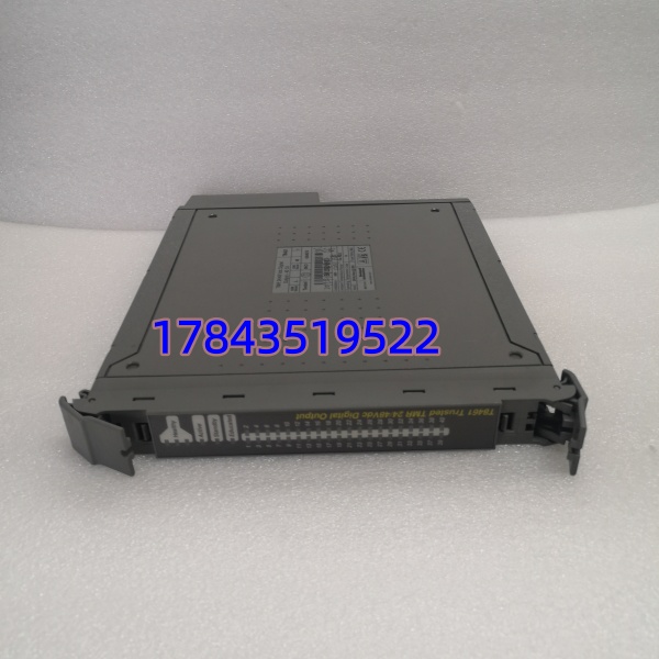 ICS TRIPLEX T8461 | AAdvance 24V DC 32点数字量输入模块 - 图片 3