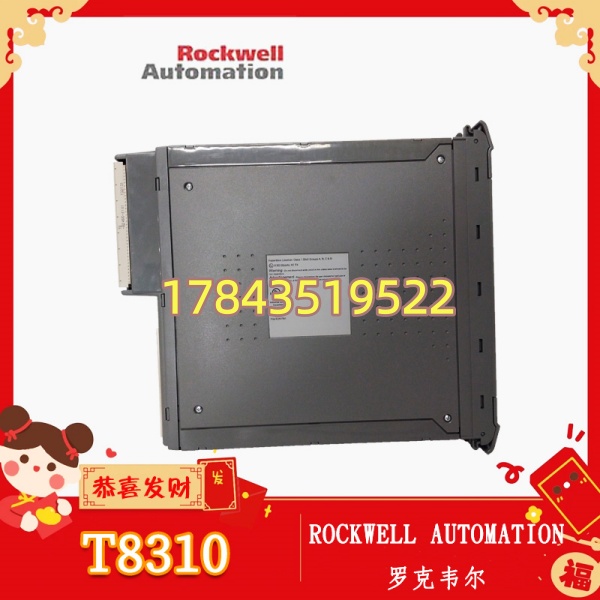 罗克韦尔 T8310 | 容错扩展接口 - 图片 3