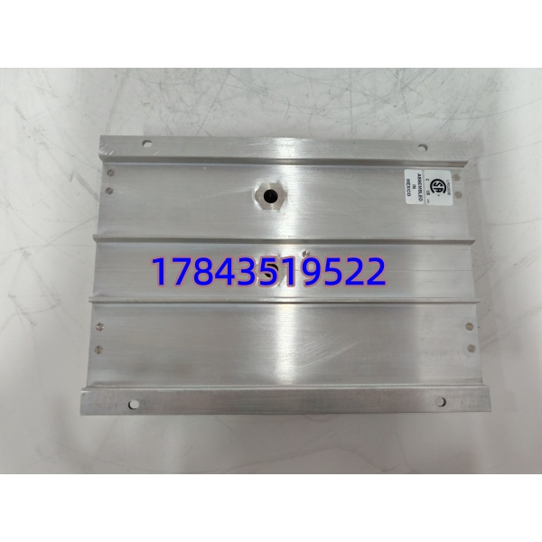 TRICONEX AI2361 7400210-020 | 建议Last-Time-Buy战略囤货 - 图片 2