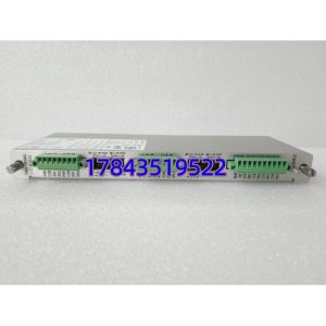 Bently Nevada 3500/42M 128229-01 | Proximitor/Seismic I/O模块(带内部端子)