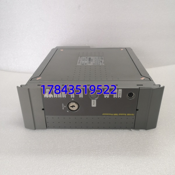 ICS Triplex T8110B | AAdvantage 系列 通信/处理器模块 - 图片 3