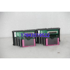 Foxboro P0916AE | 现场接线端子排 (配FBM203 RTD模块)