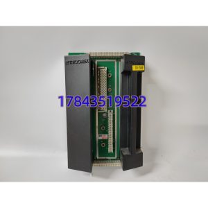 TRICONEX 2401 | 数字输出基板套件