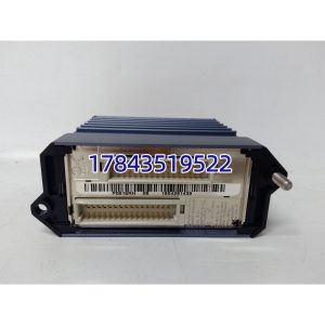 Foxboro FBM219 P0911RH | 配 P0911RH 弹簧端子基座