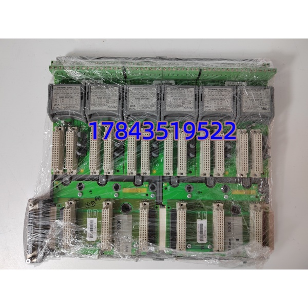 ICS TRIPLEX T9802 | TMR主处理器模块