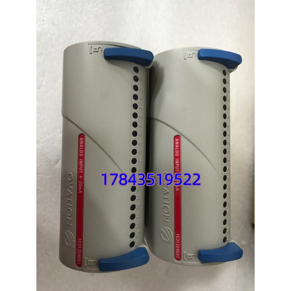 Emerson 1C31224G01 | 模拟量输入卡 - 图片 2