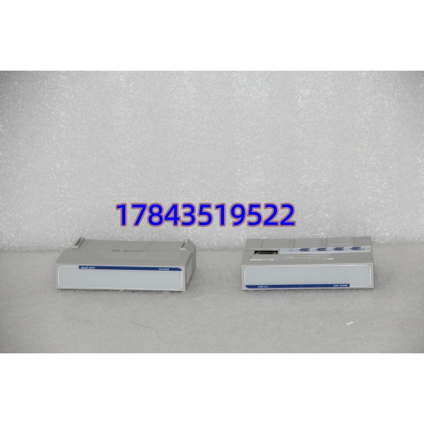 Emerson 1C31116G04 | 16点 干接点输出 带 LED 每通道 可热插拔 - 图片 4
