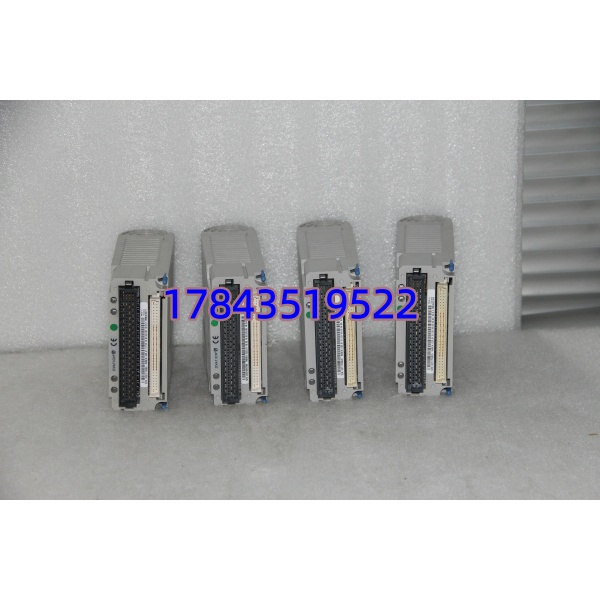 Emerson Ovation 5X00119G01 | I/O 机架 24VDC 电源模块 - 图片 2