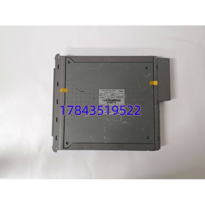 ICS TRIPLEX T8461 | Trusted TMR数字输出模块