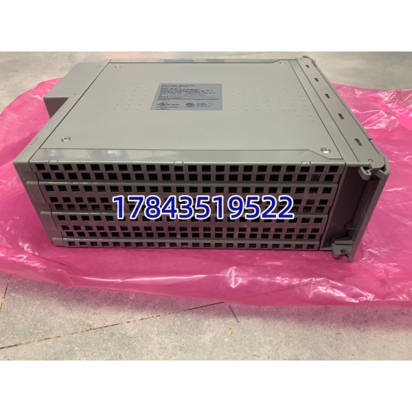 ICS Triplex T8110B | 带电池备份 RAM 热插拔支持