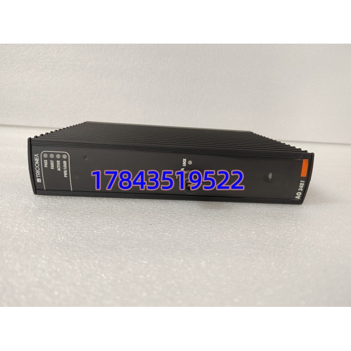 GE AO3481 IC698AO3481 | 通道独立配置 带诊断 LED - 图片 4