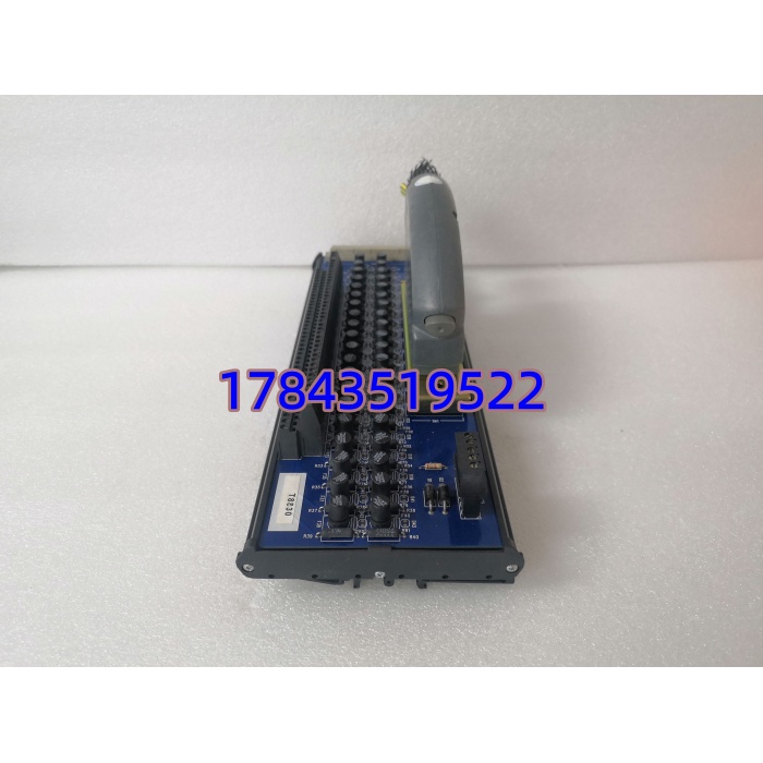 ICS Triplex T8830 | T8431 配套模拟量输入接线板