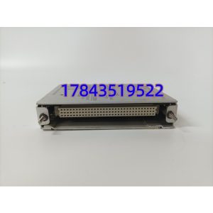 Bently Nevada 125840-01 | 高压交流电源输入模块