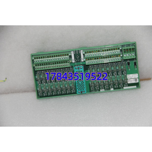 Triconex 9566-810 / 9566-820 | 三重化主处理器卡 - 图片 4