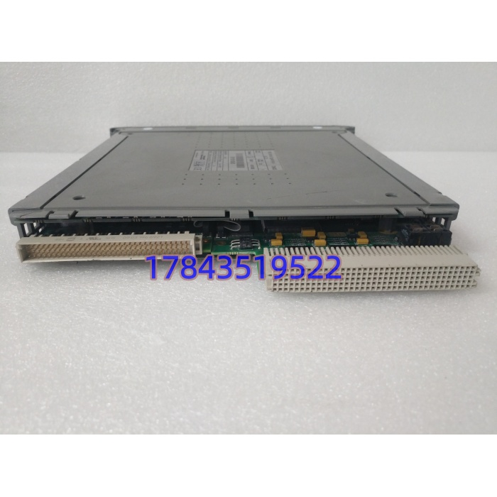 ICS TRIPLEX T8403 | 40通道TMR数字量输入模块 - 图片 4