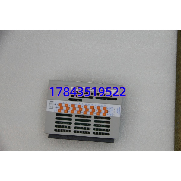 Westinghouse 1C31125G02 | Ovation DO PMOD 继电器/晶体管型 需配EMOD使用