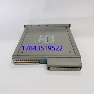 ICS TRIPLEX T8461 (T8461C兼容) | SIL 3 安全仪表系统 DO 卡件