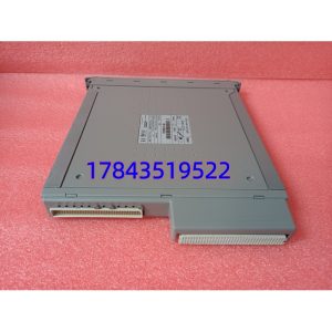 ICS TRIPLEX T8461 | Trusted® TMR 系统 24VDC 40通道 数字量输入模块