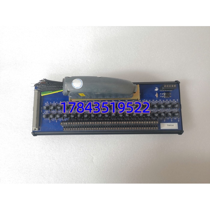 ICS Triplex T8830 | T8431 配套模拟量输入接线板 - 图片 4