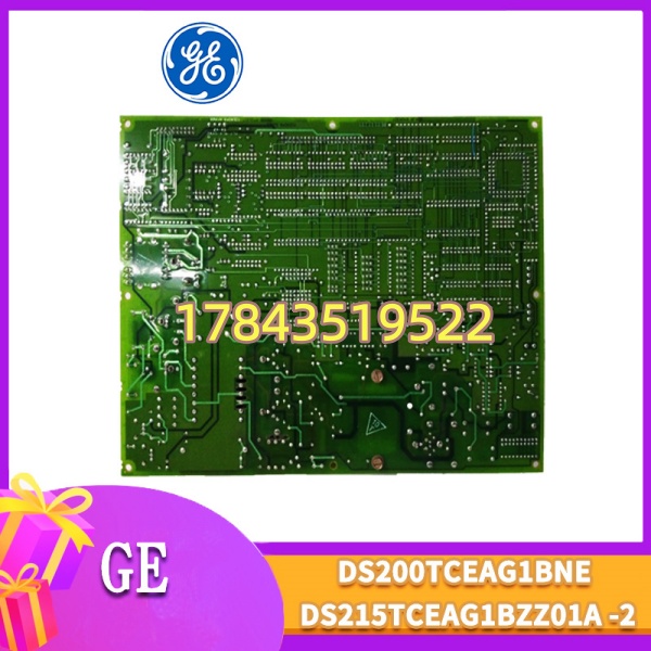 GE DS200TCEAG1BNE | 停产二手翻新 需核对 G1BNE 后缀(涂层/电压)