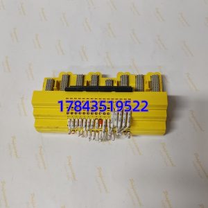 EMERSON KJ2201X1-JA1 | DeltaV 16路AI模拟量端子块