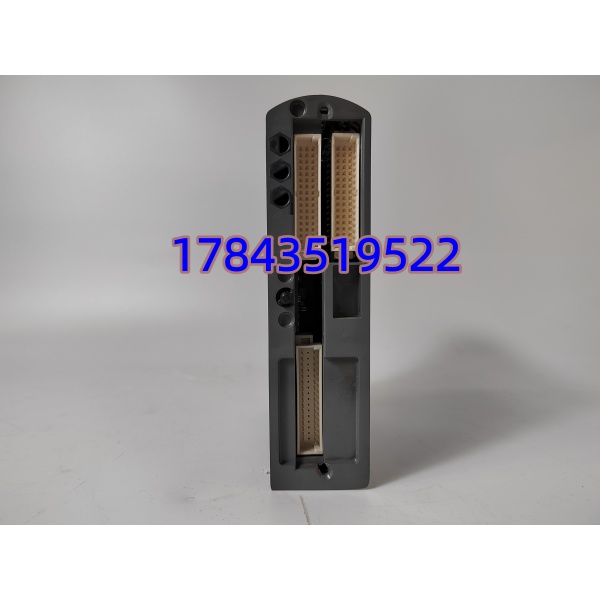 ICS TRIPLEX T9402 | 数字量输入模块 - 图片 3