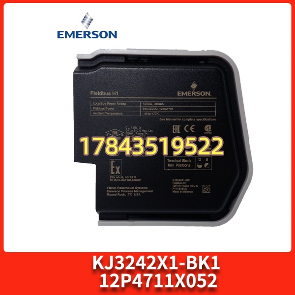 Emerson KJ3242X1-BK1 | DeltaV 控制器与操作员站冗余网络桥接模块 100Mbps - 图片 4