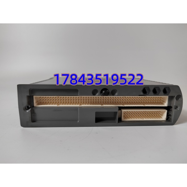 ICS TRIPLEX T9110 | TMR机架电源/通信处理器 - 图片 2