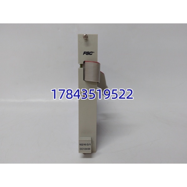 EMERSON CC12403 1021621 | DeltaV 电子布线 现场接口模块 - 图片 2