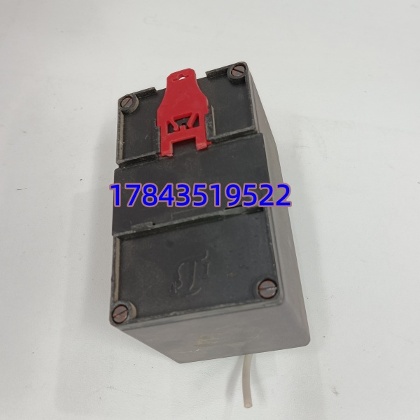 ProvibTech TM201-A00-B00-C00-D00-E00-G00 | 轴振动变送保护表 - 图片 2
