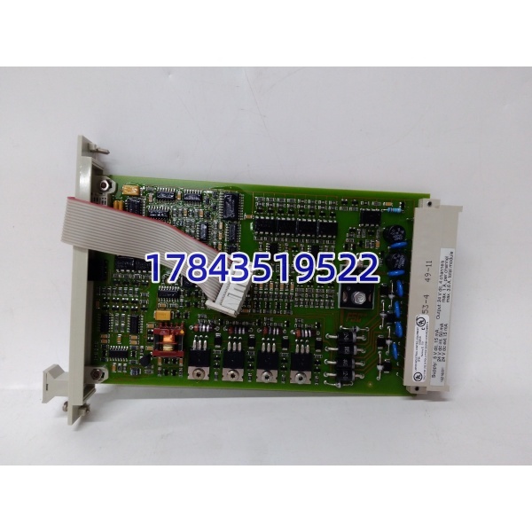EMERSON CC12403 1021621 | DeltaV 电子布线 现场接口模块