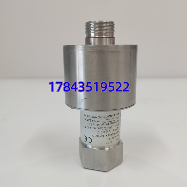 GE Reuter-Stokes RS-FS-9001 | 燃烧管理系统BMS安全检测探头 - 图片 4