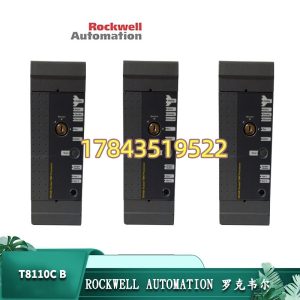 罗克韦尔 T8110C-B | 2.94kg 现场备用件