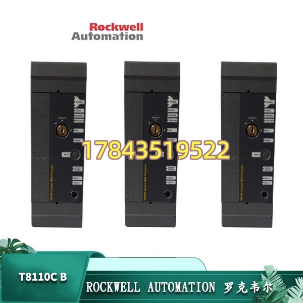罗克韦尔 T8110C-B | 2.94kg 现场备用件
