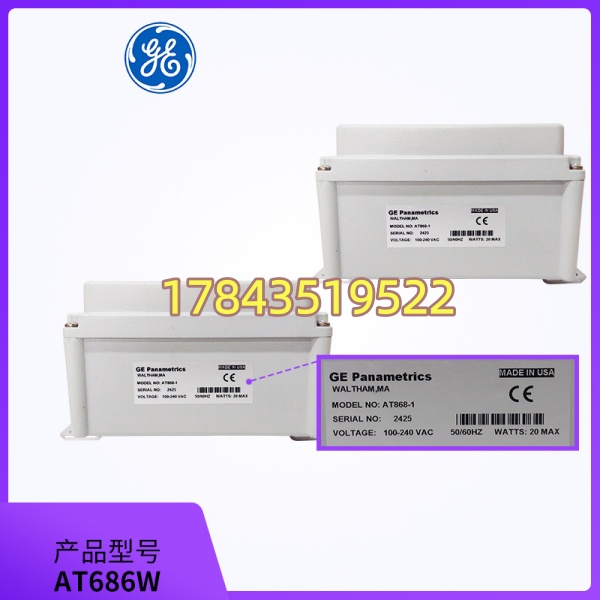 GE AT686W IC693ACC686W | 弹簧/螺钉压接 24点 带标记条 - 图片 4