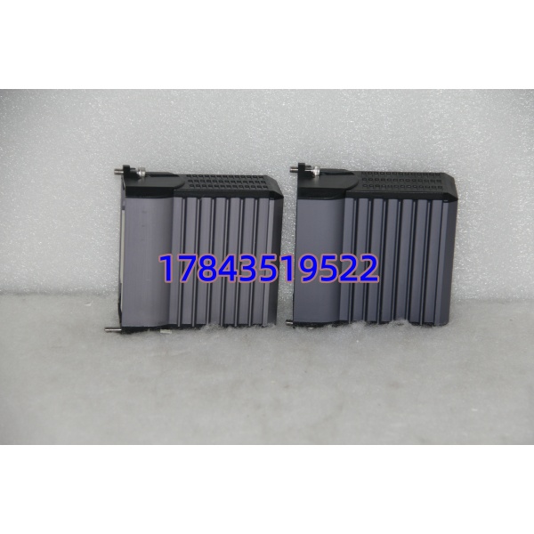 产品标题 FOXBORO FBM202 P0926EQ | 热电偶/mV模拟量输入模块