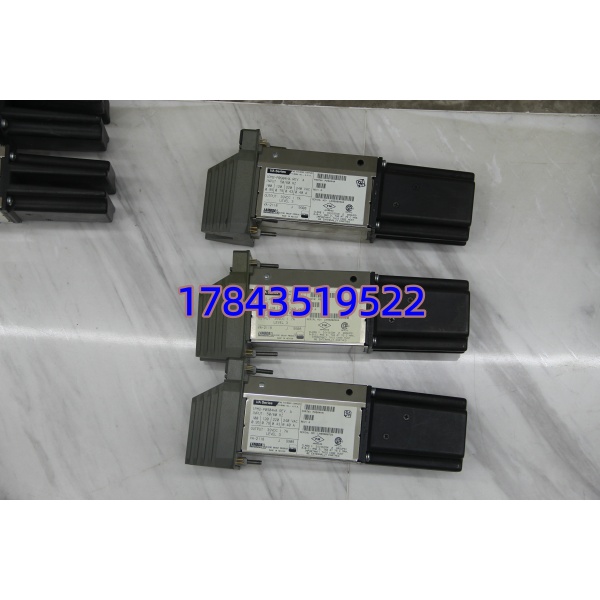 FOXBORO IPM2-P0904HA | I/A Series 电源模块 39VDC