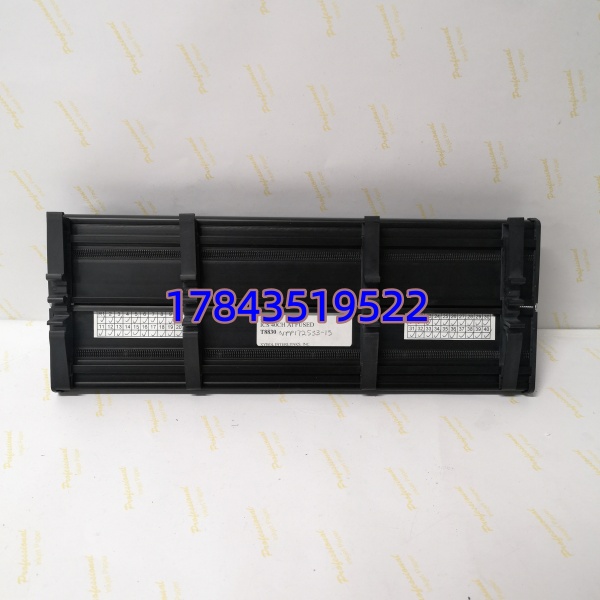 Rockwell ICS Triplex T8830 | T8440/T8450系统配套 带线路监测 - 图片 4