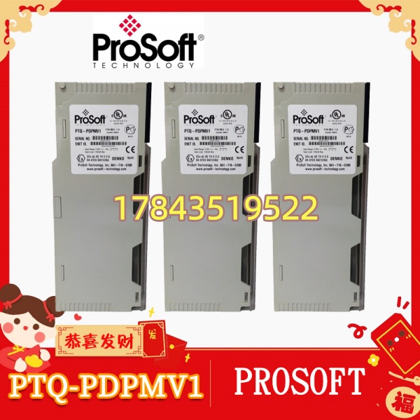 ProSoft PTQ-PDPMV1 | Schneider Quantum 机架式 PROFIBUS DP V1 主站通信模块 - 图片 3