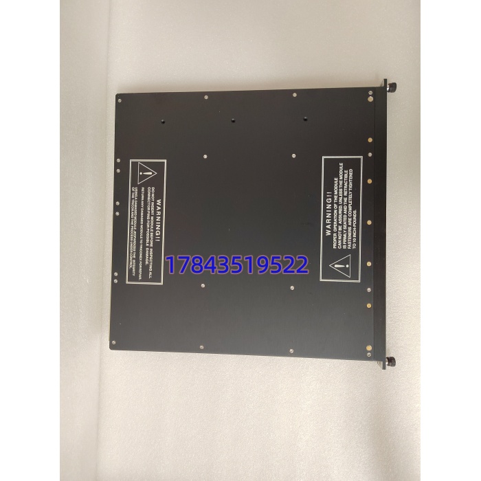Schneider Electric TRICONEX 3625A | TMR数字量输出模块 - 图片 3