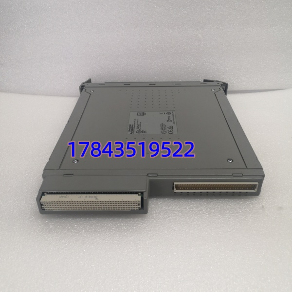 ICS Triplex T8461C 832001 | 40通道 24/48V DC 固态输出 - 图片 4