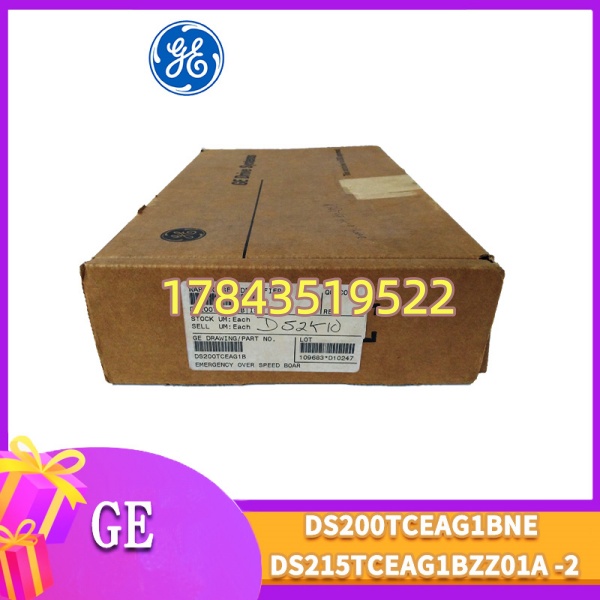 GE DS200TCEAG1BNE | 停产二手翻新 需核对 G1BNE 后缀(涂层/电压) - 图片 4
