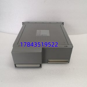 ICS Triplex T8110B | AAdvantage 系列 通信/处理器模块