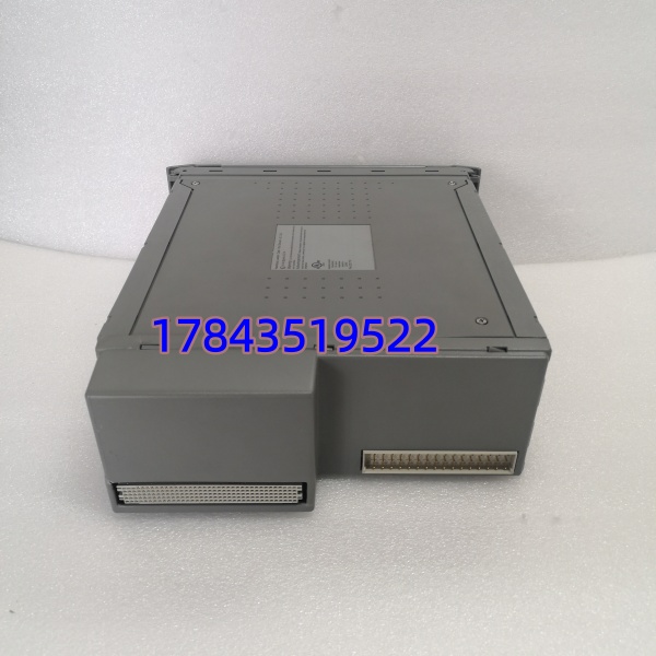 ICS Triplex T8110B | AAdvantage 系列 通信/处理器模块