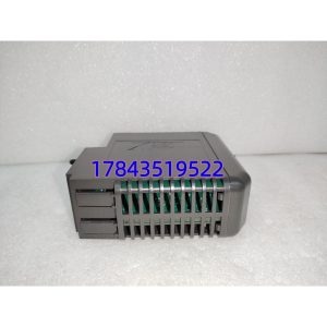 Emerson VE4002S1T2B5(KJ3204X1-BA1 等效)| DeltaV Traditional I/O 高密度DO卡件