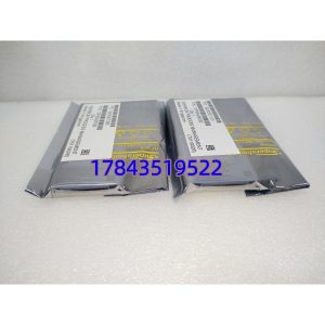 Emerson SE4308T01 (Intrinsically Safe 4–20mA AO CHARM) | 成熟期在售(CHARM架构)