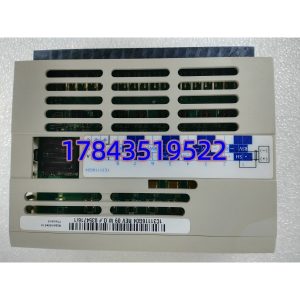 Westinghouse/Emerson 1C31116G04 | 需配 1C31122G01 特性端子模块