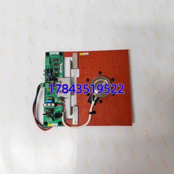 Bently Nevada 81001-340-71-R | 与 3500/22-01 通信 支持AMS Machinery Health 接口
